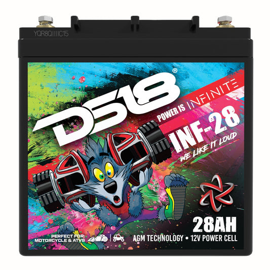 DS18 INF-28 1000 Watts — view 2