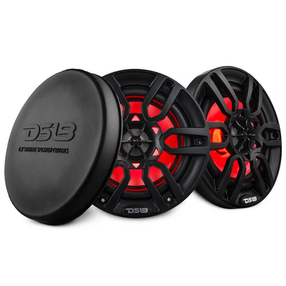 DS18 NXL Coaxial Speakers