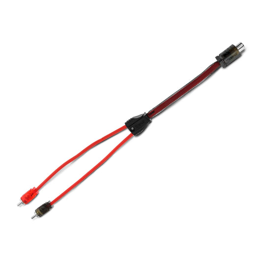 DS18 R1F2M Level 2 RCA