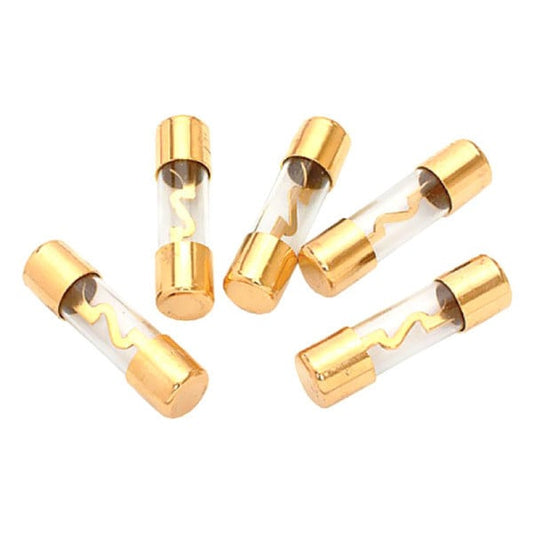 Xscorpion AGU100G AGU 100 Amp Fuse Gold (5 pack) — view 1