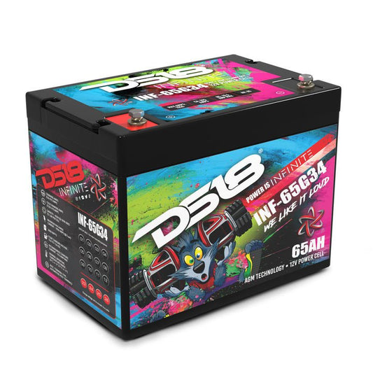 DS18 INF-65G34 2000 Watts